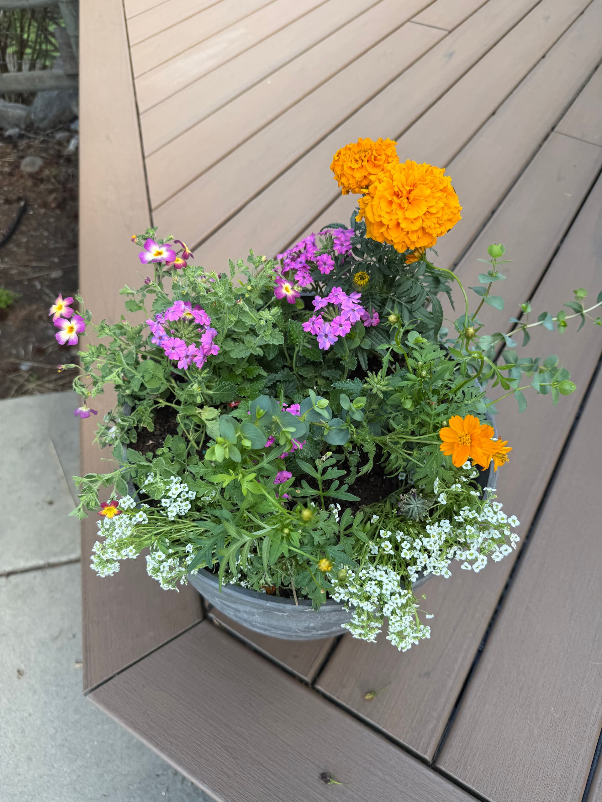 Gallery photos for Simple Landscape Refresh That Makes a Yard Feel Pulled Together: Image #2