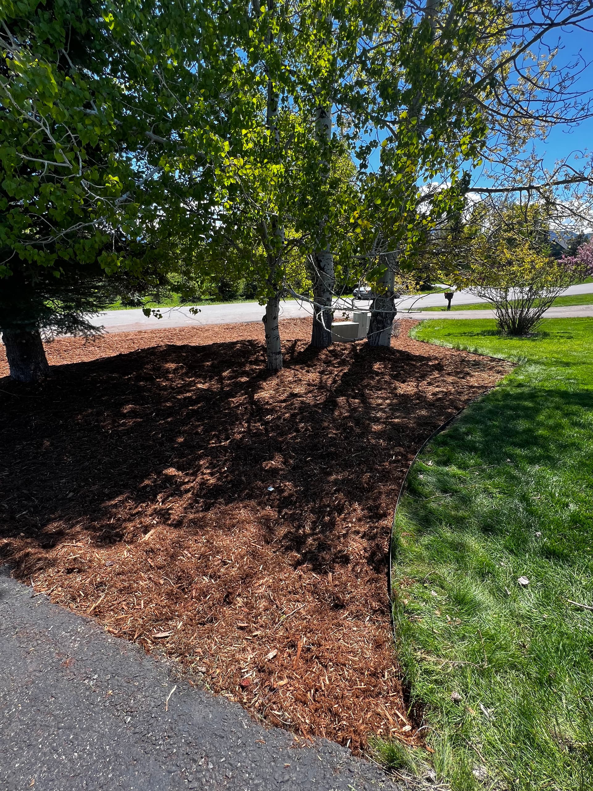 Gallery photos for Rock Beds Out, Fresh Mulch In - Here's the Difference It Makes: Image #1