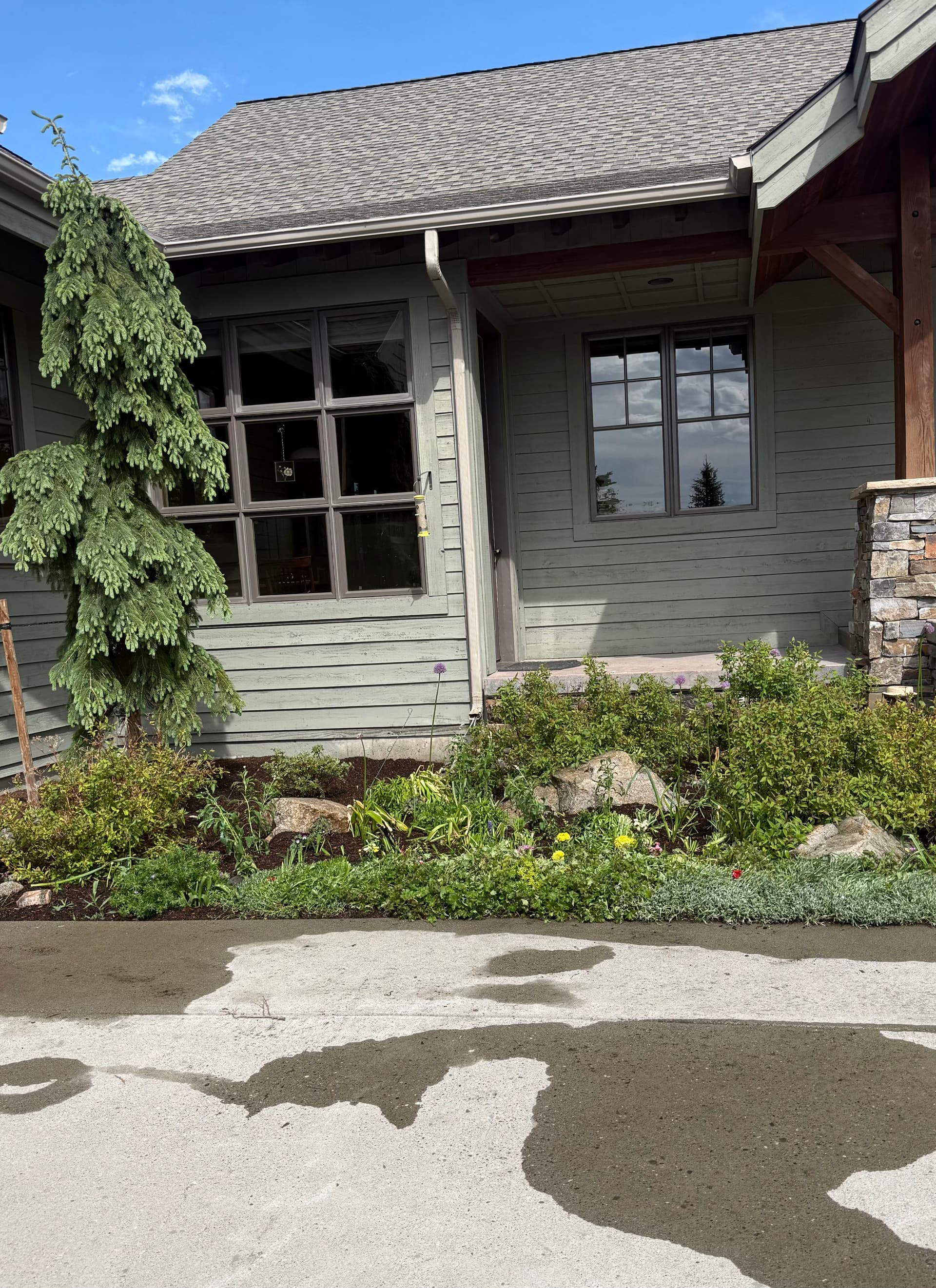 Gallery photos for Simple Landscape Refresh That Makes a Yard Feel Pulled Together: Image #3