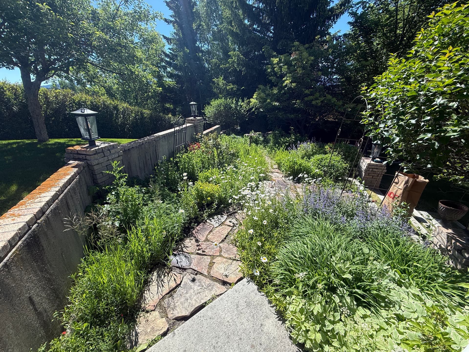 Gallery photos for Garden Beds and Lawn Care That Makes Your Yard Feel Like Home: Image #1