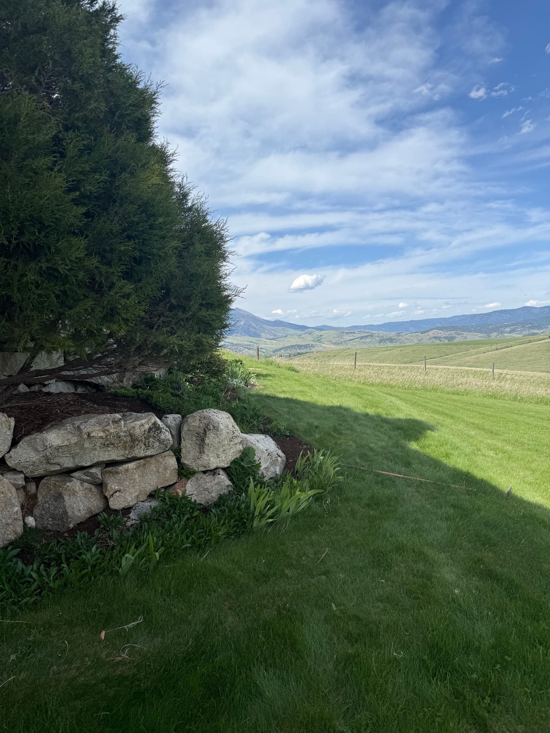 Gallery photos for Simple Landscape Refresh That Makes a Yard Feel Pulled Together: Image #1