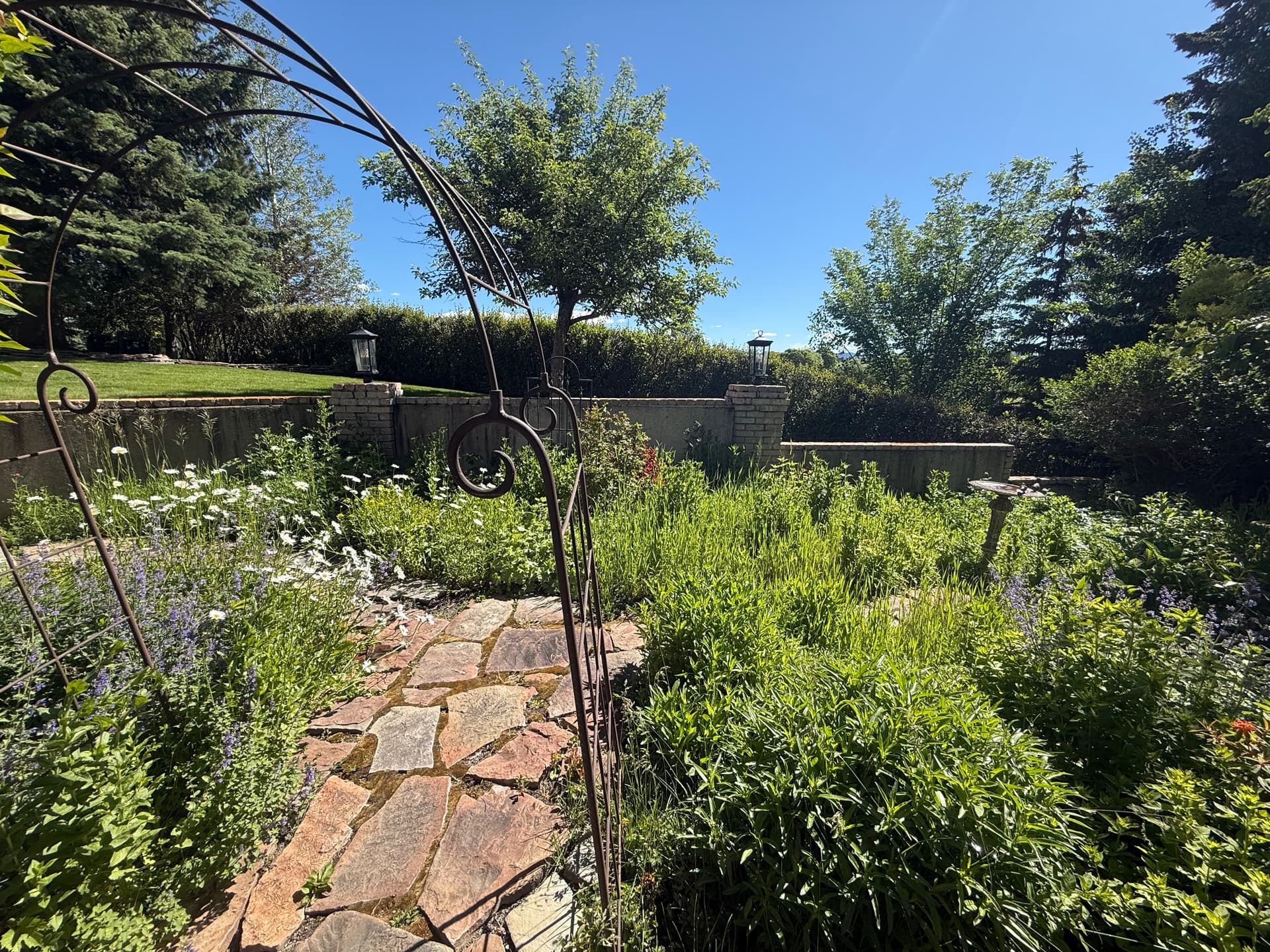 Garden Beds and Lawn Care That Makes Your Yard Feel Like Home image