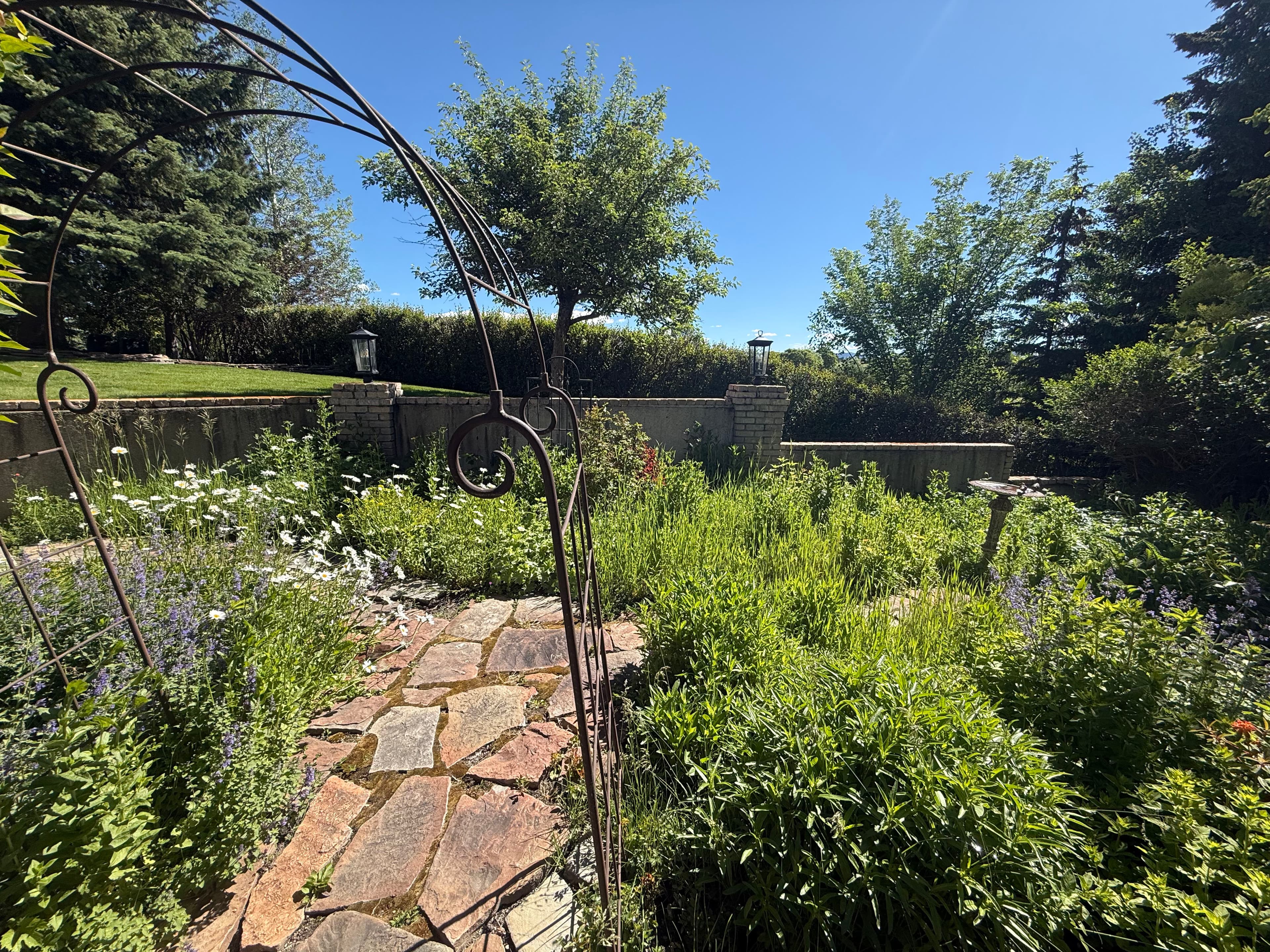 Project Garden Beds and Lawn Care That Makes Your Yard Feel Like Home image