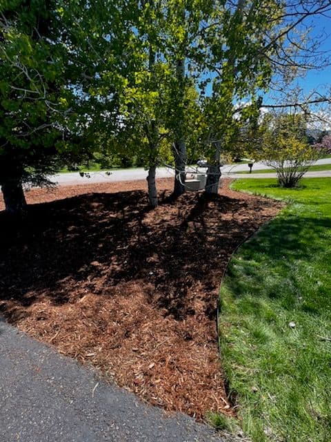 Stunning Landscape Renewal with Cedar Mulch