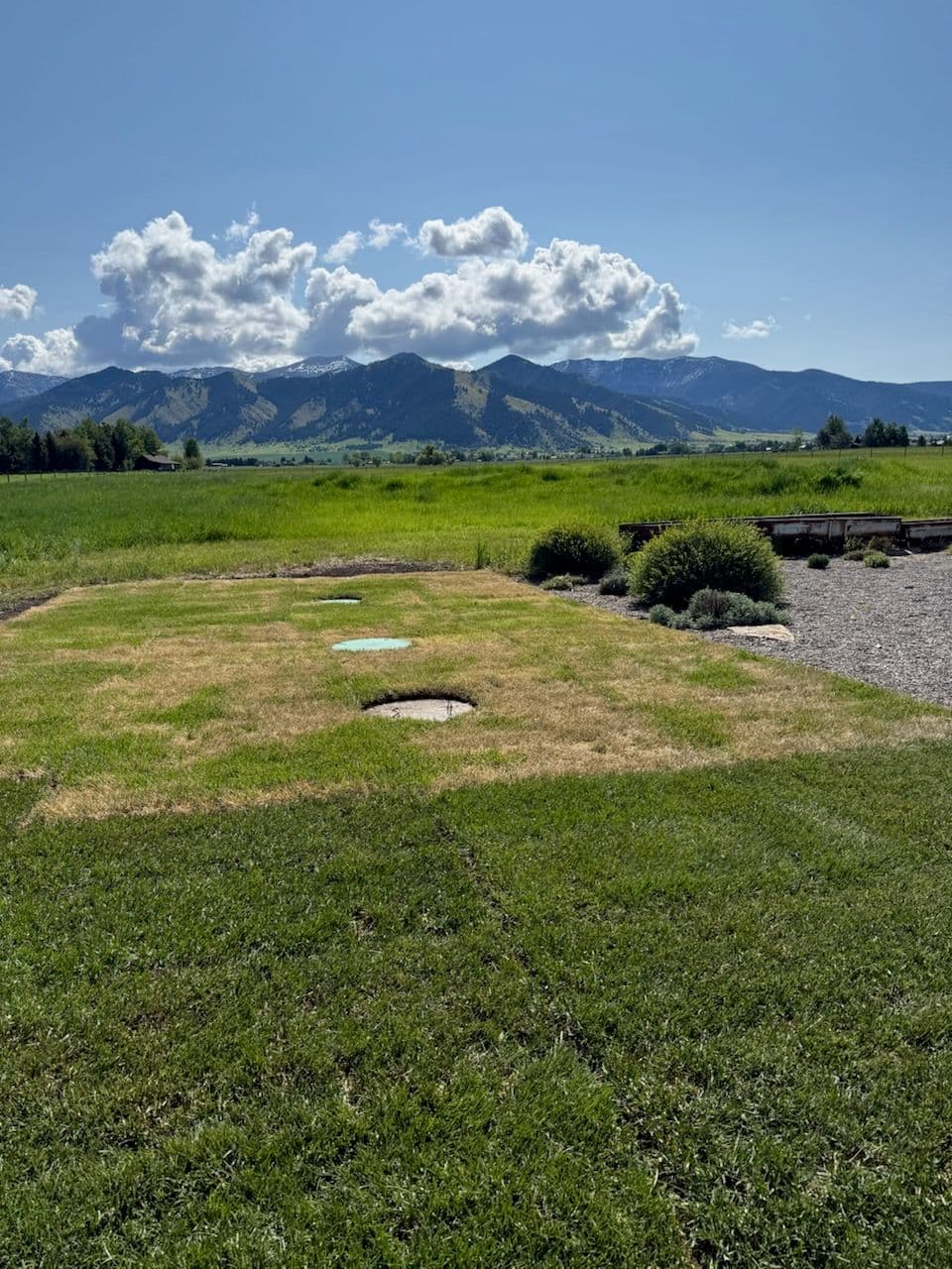 Transform Your Lawn with Expert Sod Installation image