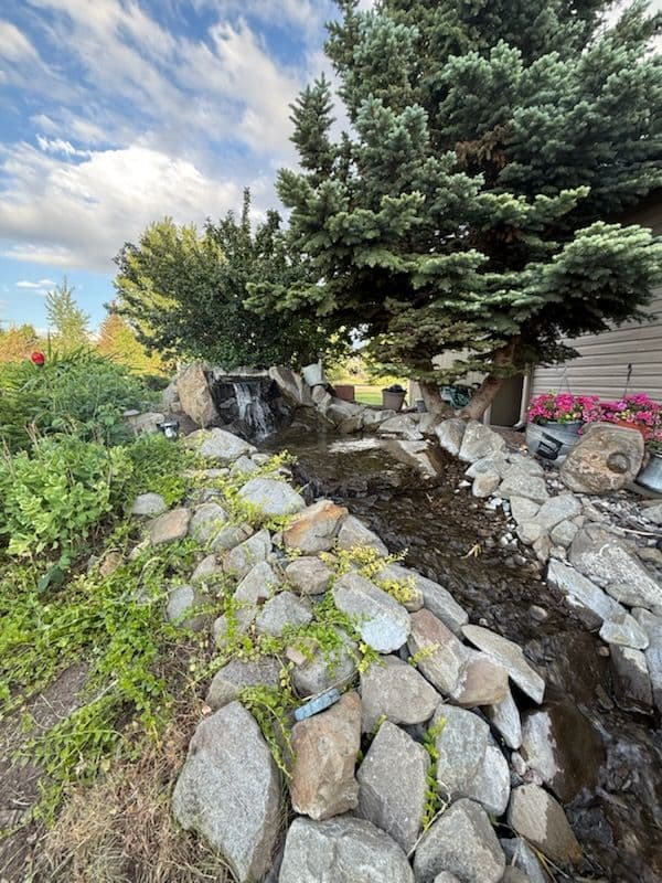 Transformative Pond Cleanup for Ultimate Serenity image