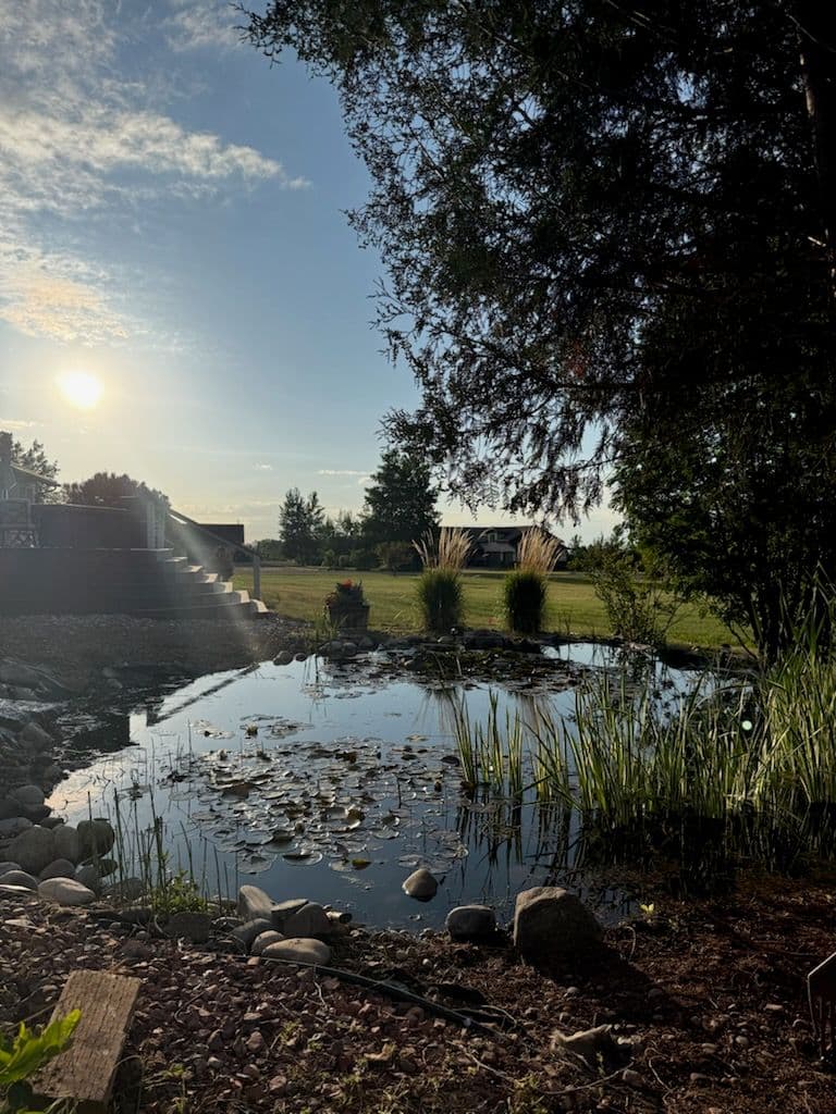 Gallery photos for Transformative Pond Cleanup for Ultimate Serenity: Image #1